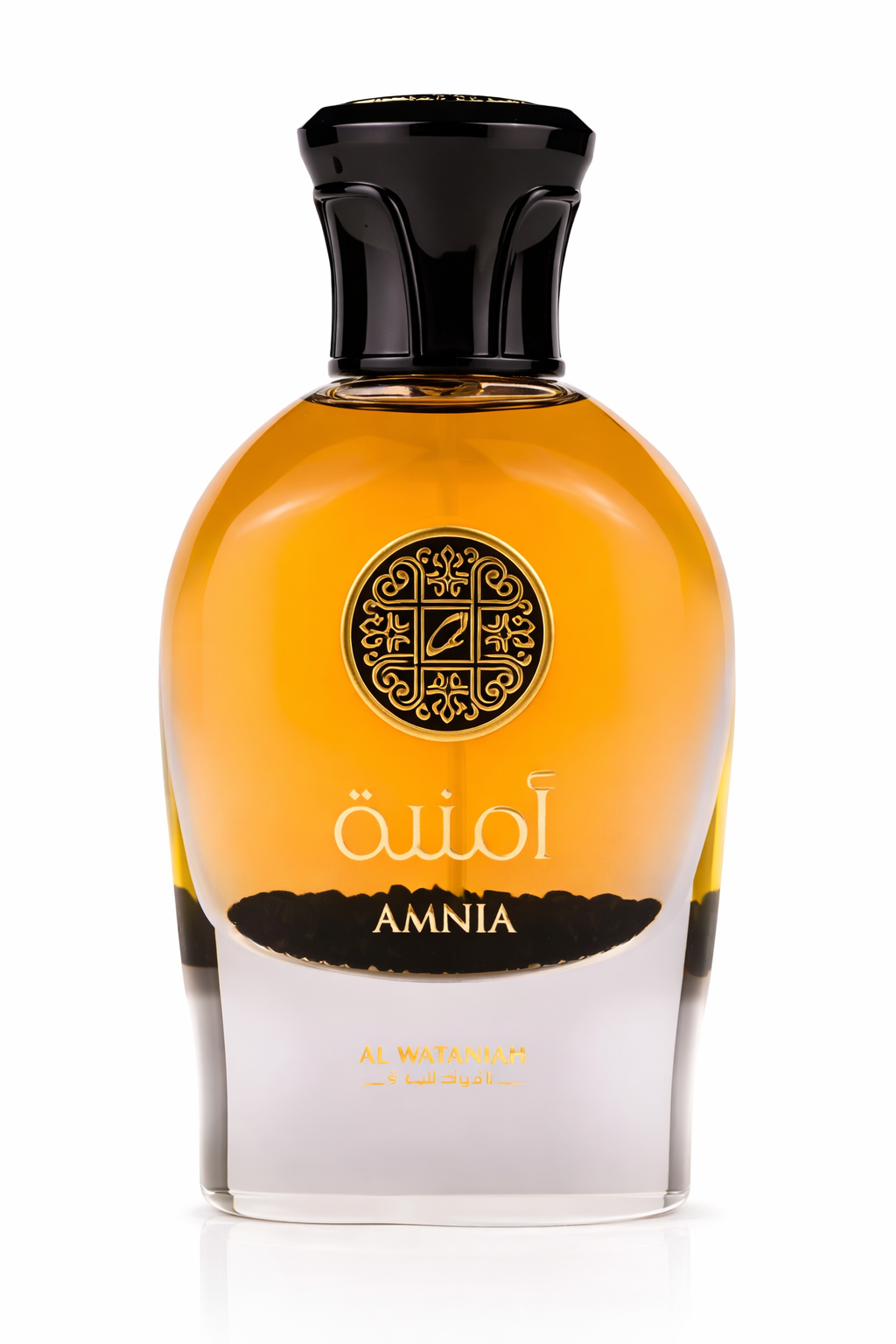 Amnia Al Wataniah Eternal Edp 100ml